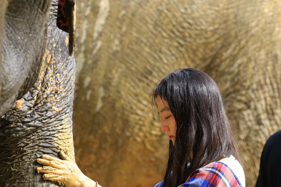 Phuket: Elephant Save & Care Program Tour - What to Bring: The Mud, Water, and Cleanup Reality