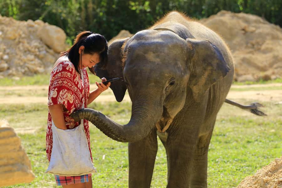 Phuket: Elephant Save & Care Program Tour - Feeding Time: Food Baskets, Hand-Feeding, and Elephant Backgrounds