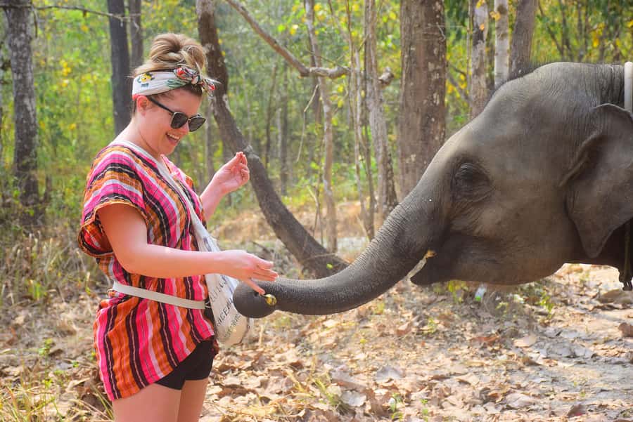 Phuket: Elephant Save & Care Program Tour - Herb-Mix Mud Spa: Scrubbing, Showering, and the Skin-Healing Story