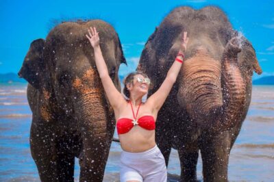 Phuket: Lily Elephant Half day Trip on the Beach with lunch - The 3-hour flow: from camp welcome to sea bath