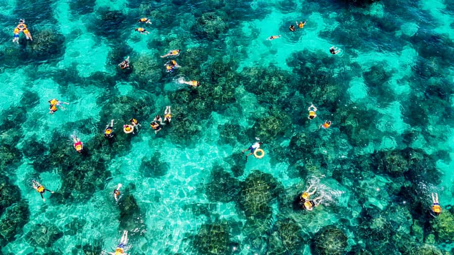 Phuket: Maya, Phi Phi, and Bamboo Island with Buffet Lunch - Speedboat Energy: Fast Crossing and the Comfort Factor
