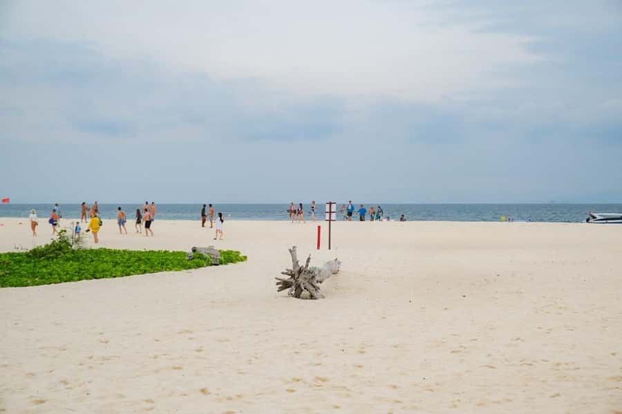 Phuket: Phi Phi, Bamboo & Maithon by Premium Speed Catamaran - Monkey Beach: photo stop rules and how to handle them