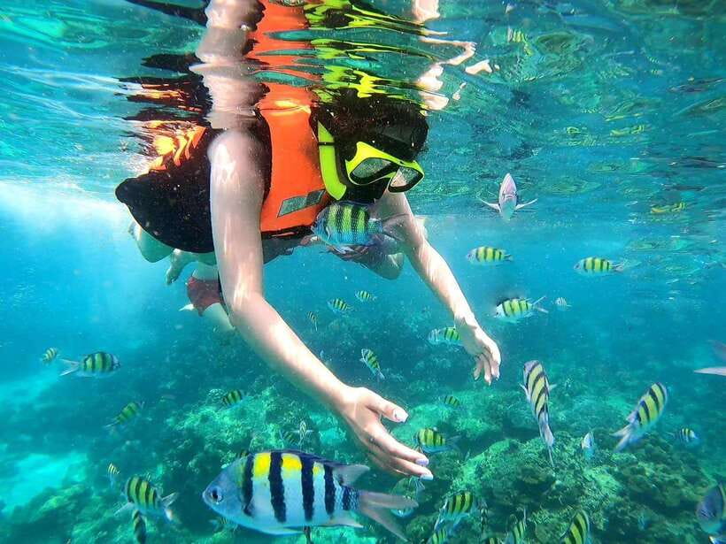 Phuket: Phi Phi Islands and Maya Bay Day Trip with Lunch - Pileh Lagoon: the emerald-water moment (plus an optional add-on)