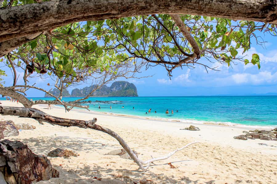 Phuket: Phi Phi Sunrise Boat Tour to Bamboo and Khai Island - Pileh Lagoon and Ko Phi Phi Don: where snorkeling earns its keep