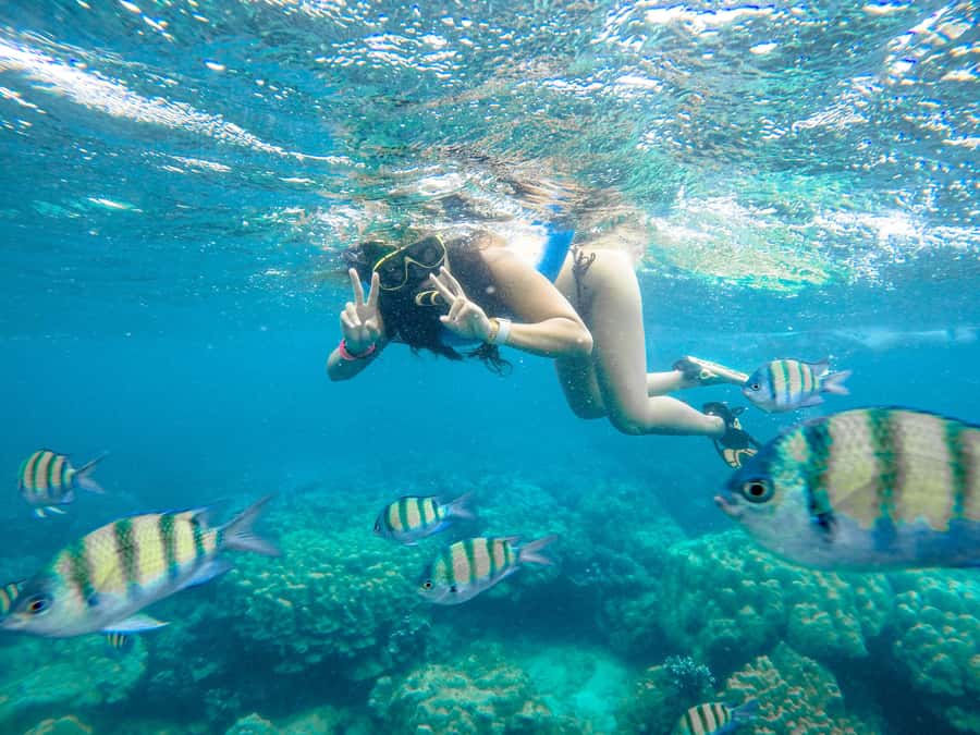 Phuket: Phi Phi Sunrise Boat Tour to Bamboo and Khai Island - Food, drinks, and comfort in a 9-hour day