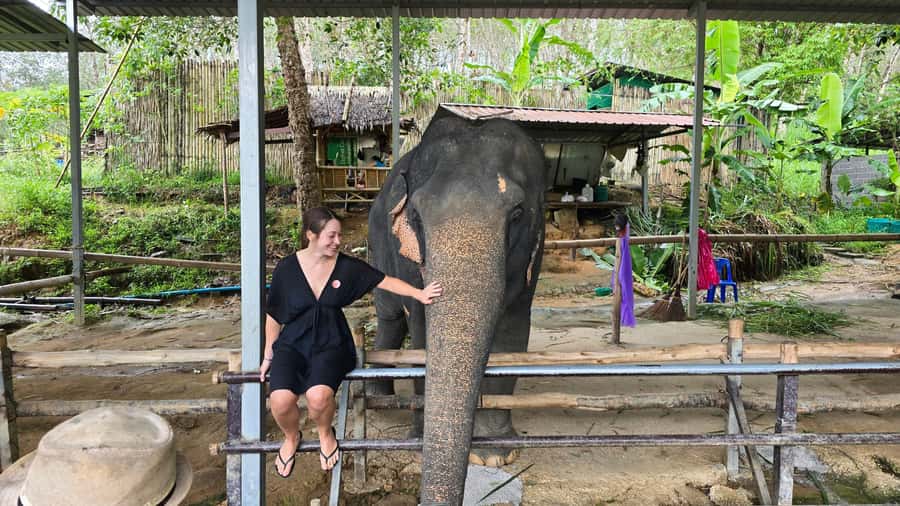 Phuket: Phuket Elephant Care Sanctuary ECO Tour - The elephant feeding moment: seasonal fruit and real guidance