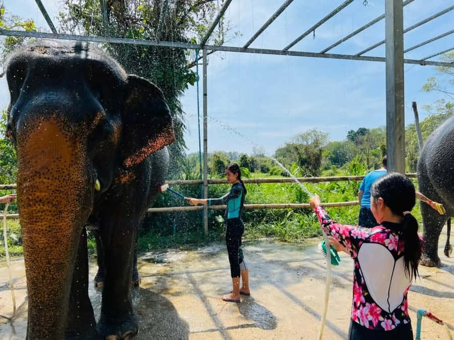 Phuket: Phuket Elephant Care Sanctuary ECO Tour - What to bring (so you don’t regret your outfit)