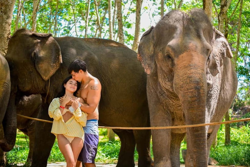 Phuket:Beach walk with elephants, rain & care. 2.5 hours - Key Things I’d Pencil Into Your Day