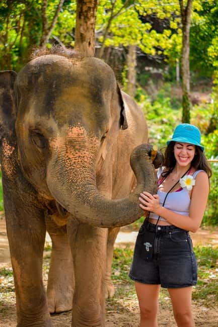 Phuket:Beach walk with elephants, rain & care. 2.5 hours - What You’ll Pay: $59 for an Elephant Care Day (and What’s Extra)