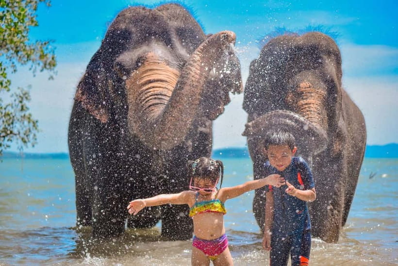 Phuket:Beach walk with elephants, rain & care. 2.5 hours - Lily Elephant Camp’s Coastal Setting: Why the Location Matters