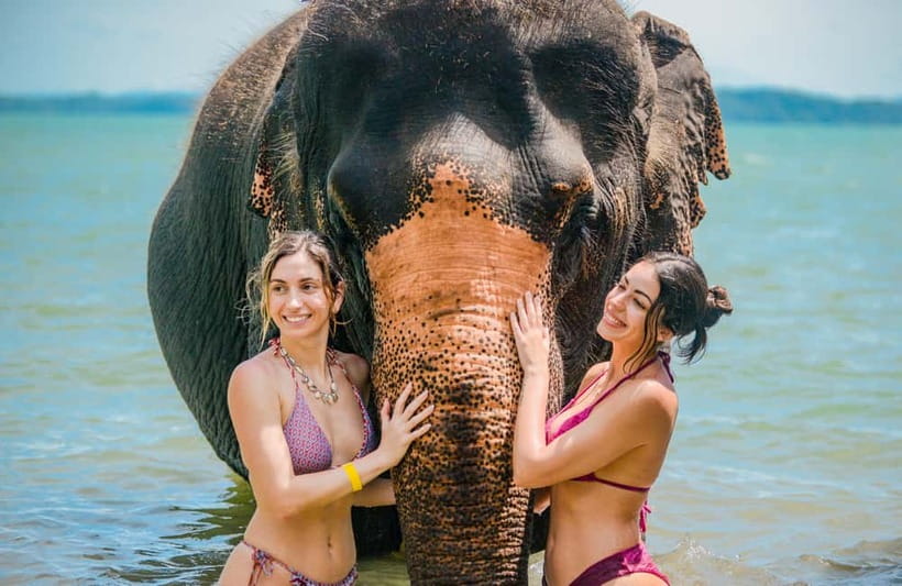 Phuket:Beach walk with elephants, rain & care. 2.5 hours - Jungle Time With Elephants: What It Feels Like and What to Expect