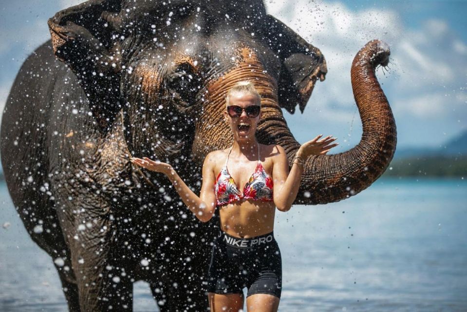 Phuket:Beach walk with elephants, rain & care. 2.5 hours - The Private Beach Session: Brushing, Bathing, and Rain Showers