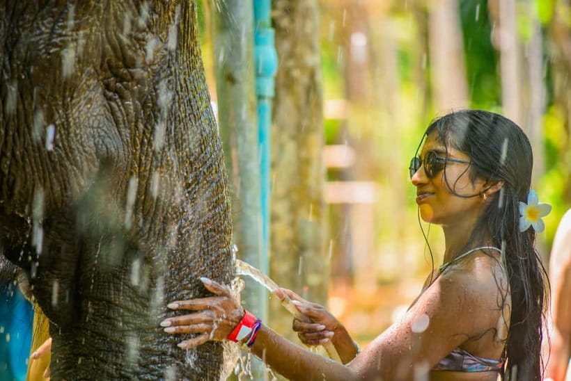Phuket:Beach walk with elephants, rain & care. 2.5 hours - Feeding With Herb/Vitamin Balls: Your Hands-On Moment