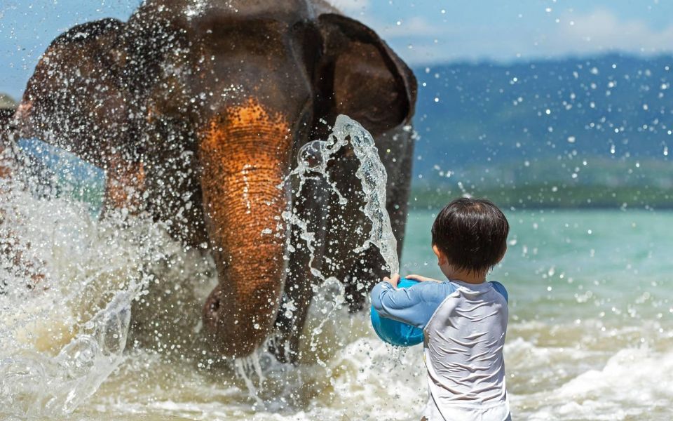 Phuket:Beach walk with elephants, rain & care. 2.5 hours - Sea Bathing With Elephants: The Moment Most People Remember