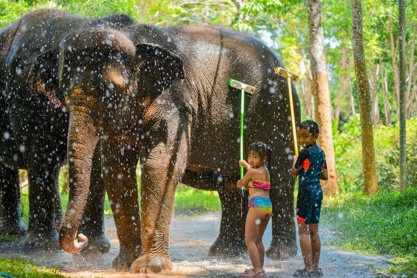 Phuket:Beach walk with elephants, rain & care. 2.5 hours - Guides, Education, and the Ethics Conversation (Including Kim)