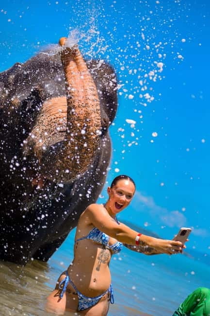 Phuket:Beach walk with elephants, rain & care. 2.5 hours - Group Size, Photo Costs, and How to Avoid Extra Stress