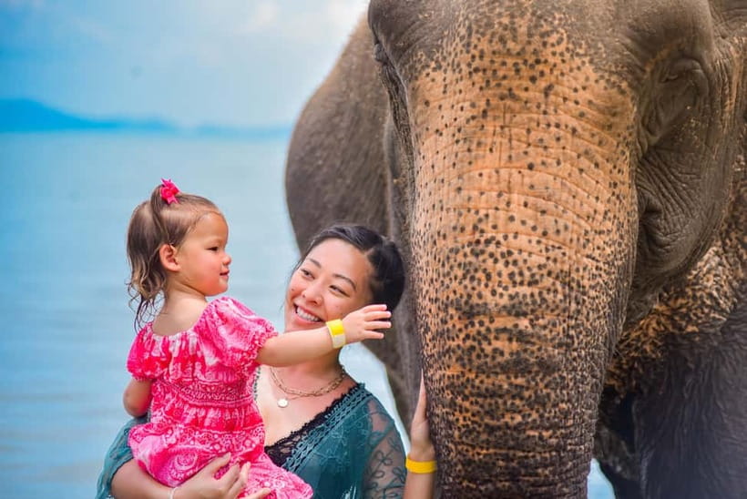 Phuket:Beach walk with elephants, rain & care. 2.5 hours - Your 2.5-Hour Flow: From Pickup to Jungle Walk to the Water