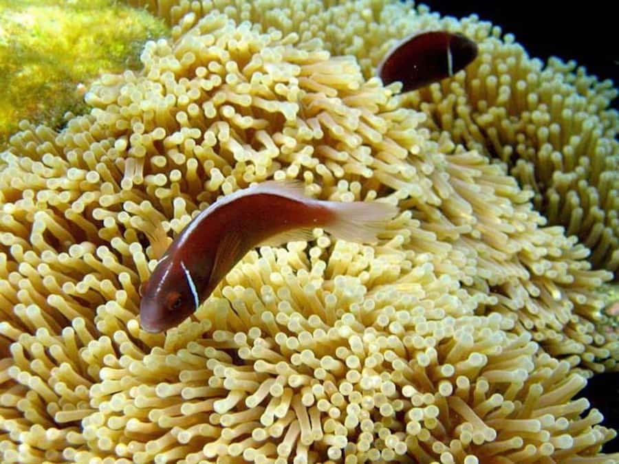 Samui: Angthong National Marine Park Day Trip by Speedboat - Who should book this (and who should skip it)