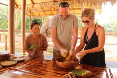 Samui: Elephant Nutrition and Care Education Experience - Hotel pickup and what the first hour feels like