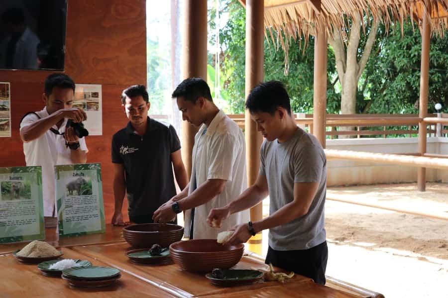 Samui: Elephant Nutrition and Care Education Experience - Ethical elephant care in Koh Samui: what you’re supporting