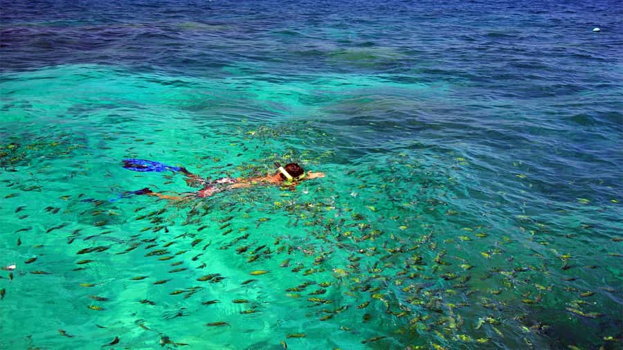 Similan Islands Early-Bird Tour From Phuket and Khao Lak! - The speedboat ride: fast, bumpy, and how to stay sane